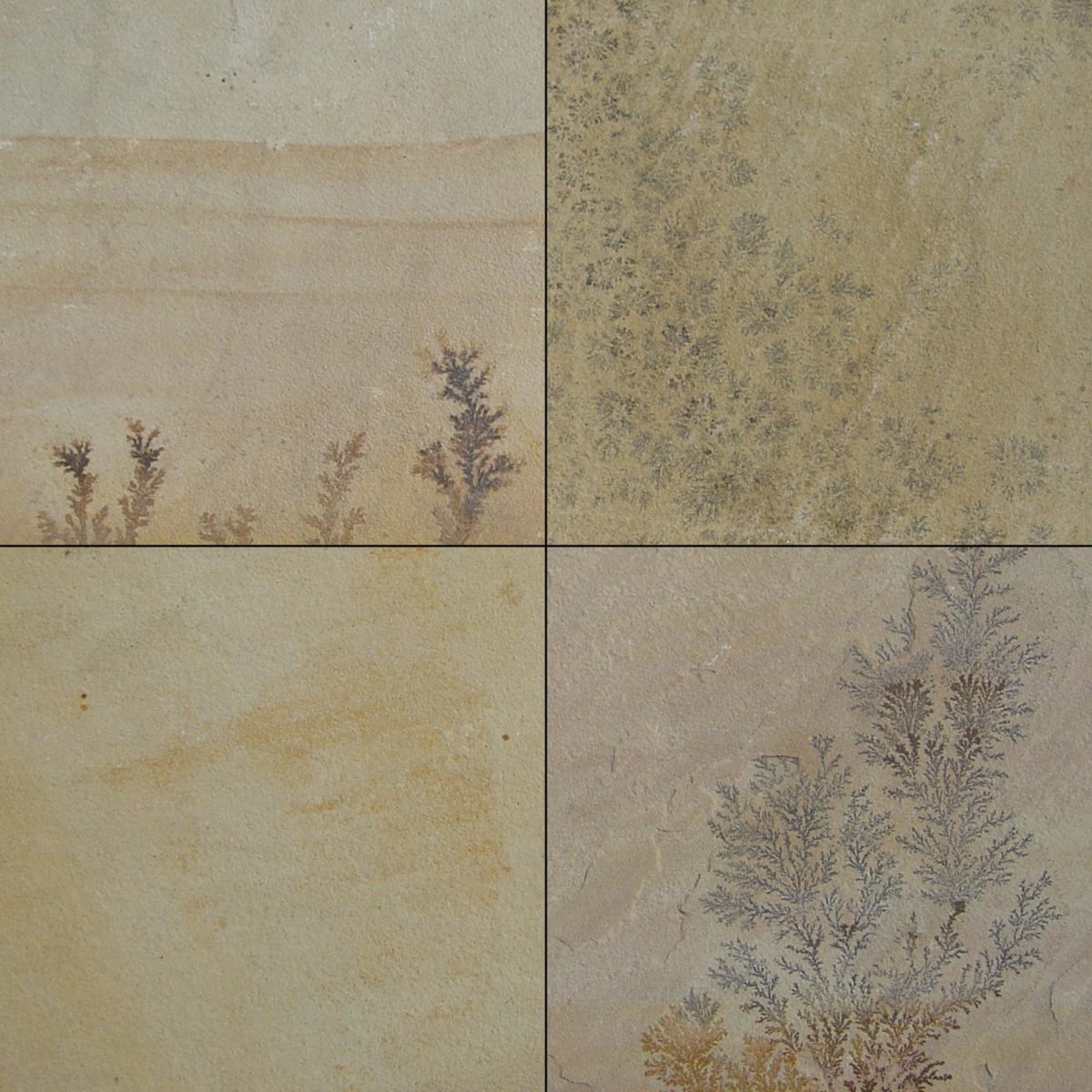 product details image